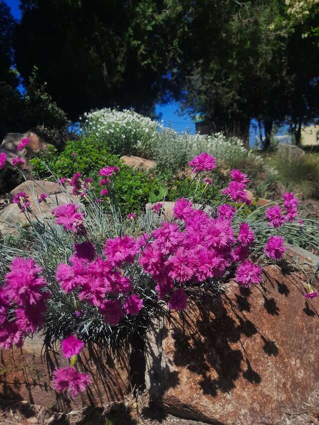 Гостиница Yeiskwind Ейск-106