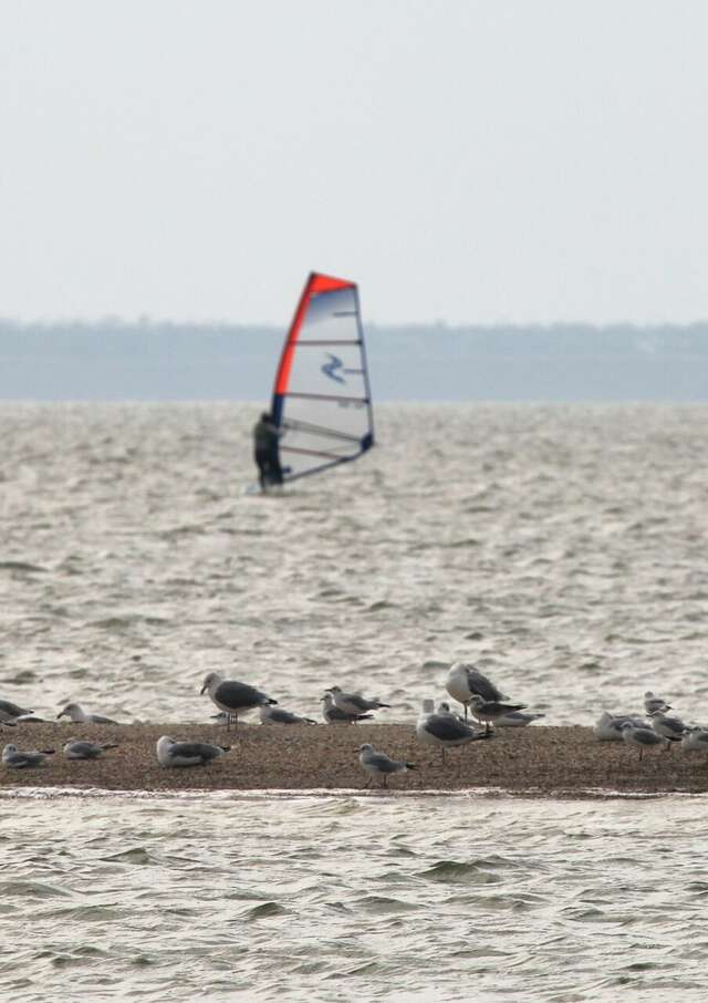 Гостиница Yeiskwind Ейск-20